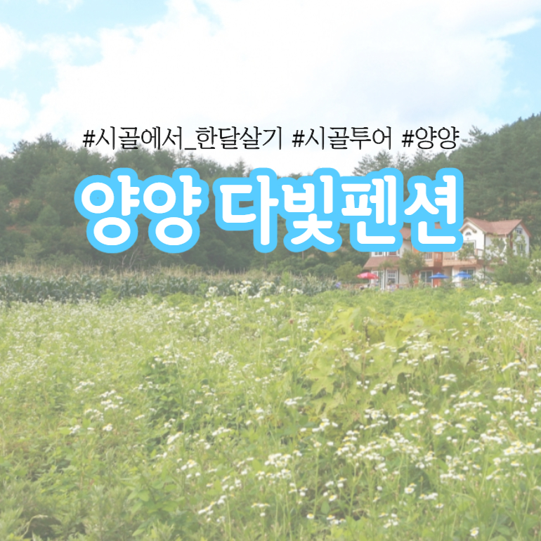 2양양다빛펜션 포스터_1