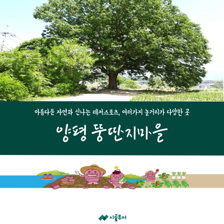 2. 대표