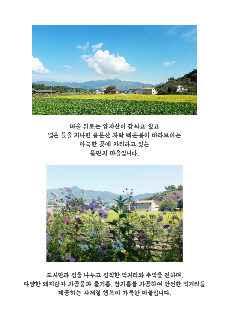 3. 상세